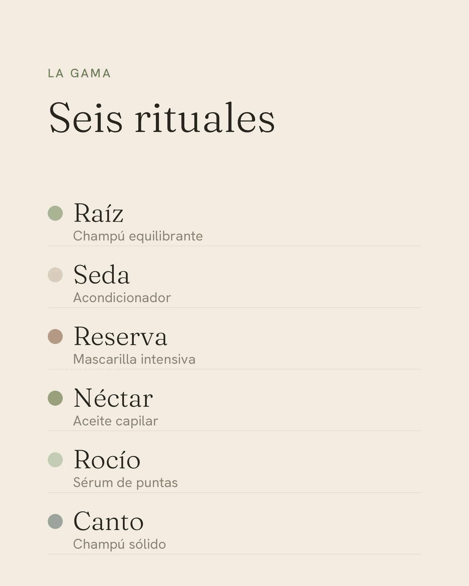 Xilema — imagen 5