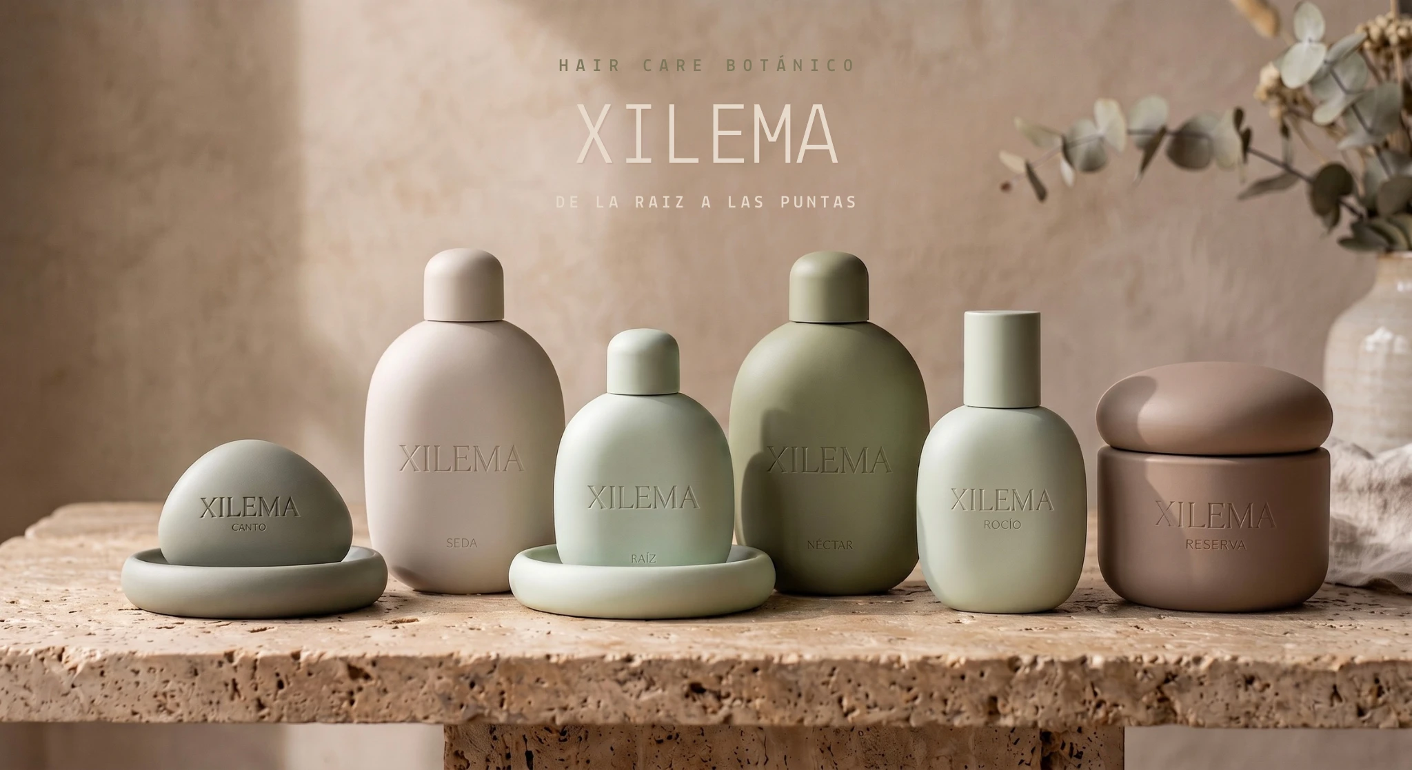 Xilema — Identidad Visual
